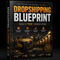 Dropshipping Blueprint: Build a ₹1Lakh/Month Store